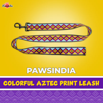 Pawsindia Colorful Aztec Nylon Leash for Dogs with a Padded Handle